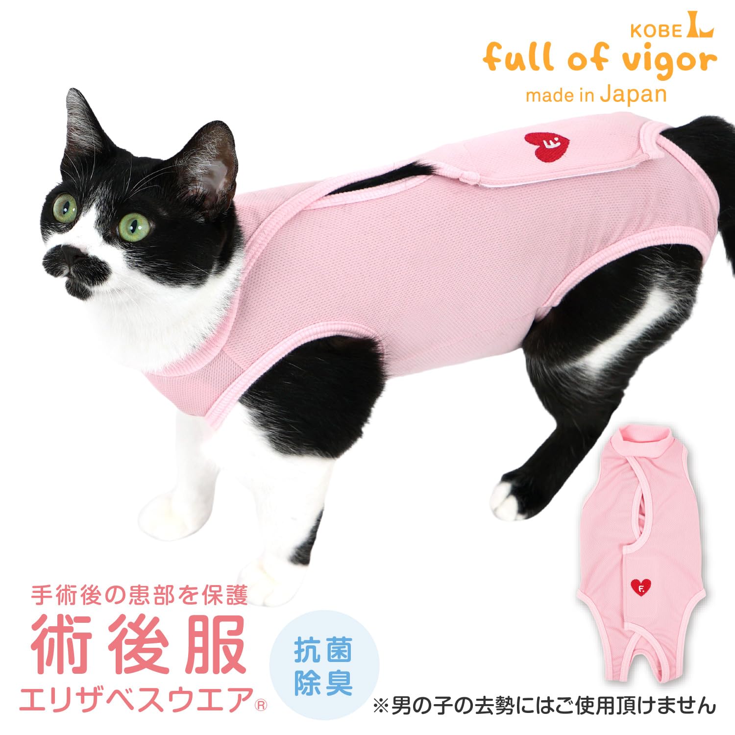 Amazon | 猫 術後服 エリザベスカラー不要 傷口舐め防止 手術後ケア